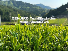 Load and play video in Gallery viewer, ZENJIRO Sencha Mino Shirakawa 100g / the 450th Years Anniversary