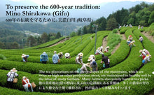 Load image into Gallery viewer, ZENJIRO Hojicha Mino Shirakawa 50g