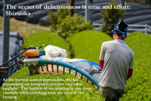 Load image into Gallery viewer, Organic Ceremonial Matcha Shizuoka: HoReCa Special set B - 0.5kg x 3 bags